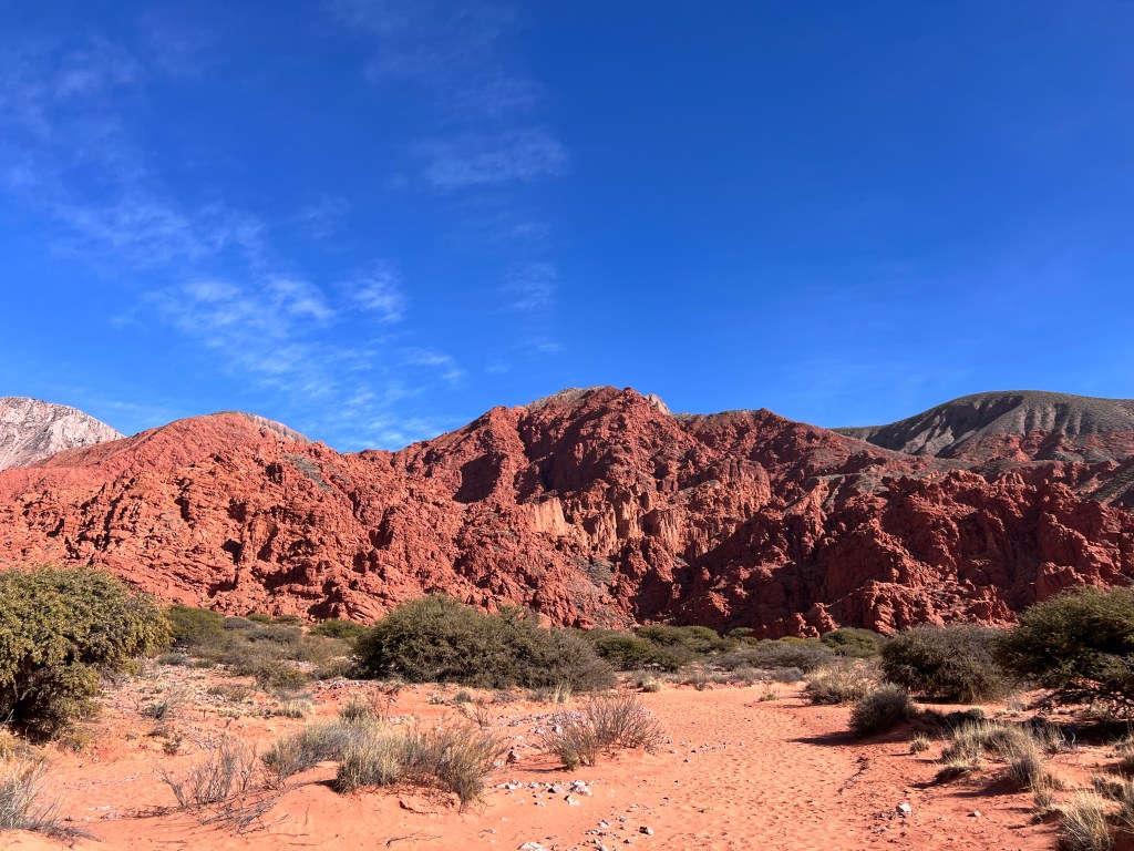 Red sand and cacti, red rocks in the background.