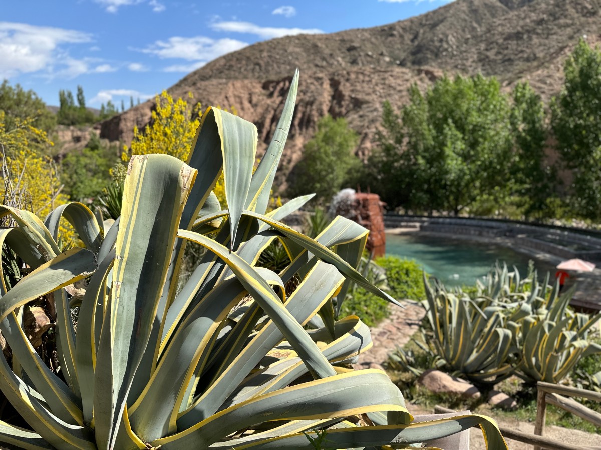 Mendoza Thermal Baths | What You Need to Know About Cacheuta