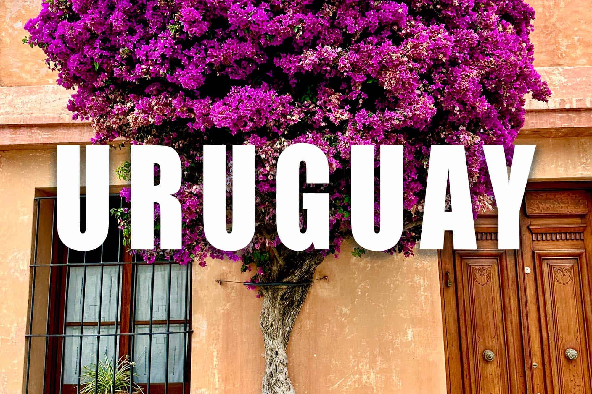 Find everything you need to know about traveling to Uruguay. Uruguay travel is incredible. Add it to your bucket list this year
