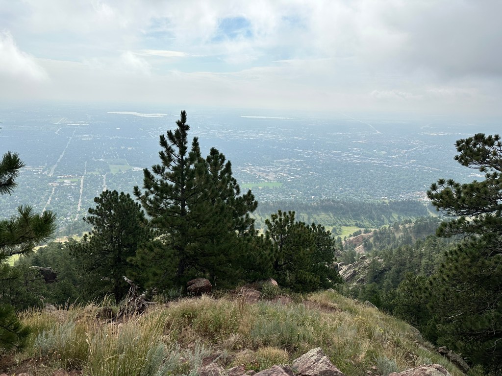 This is the view from the top of Mount Sanitas. There are a few pine trees in the foreground and off into the distance you can see the city of Boulder.