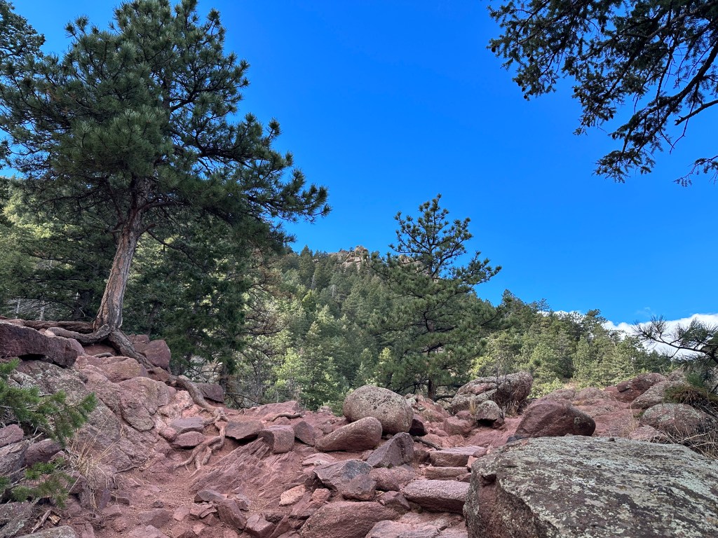 A great lookout spot along the Saddle Rock Trail. There are several red rocks, trees, and a skyline in the distance.