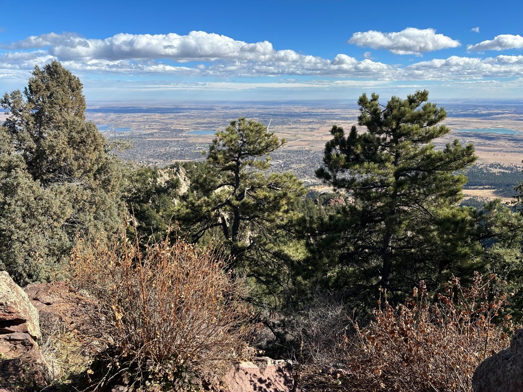 A view of Boulder from the peak of Green Mountain. Boulder is in the distance and several fir trees are in the foreground.