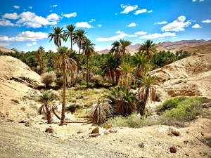 Deserts in Tunisia are in the south. You can find many oasis towns down there with palm trees and waterfalls.
