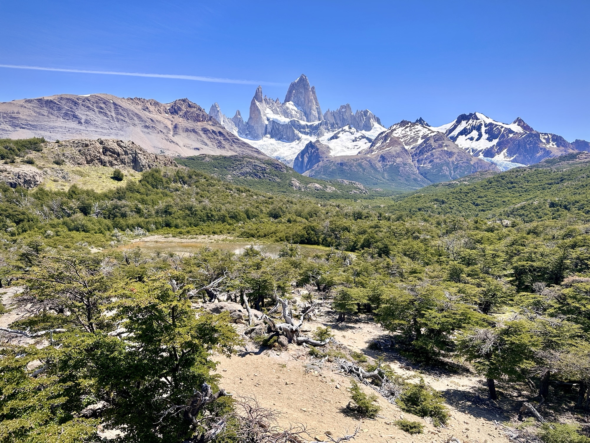 Is Patagonia Safe? A Traveler’s Guide For 2025 By An Expert!