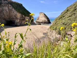 Looking down on Sharktooth Beach from up above