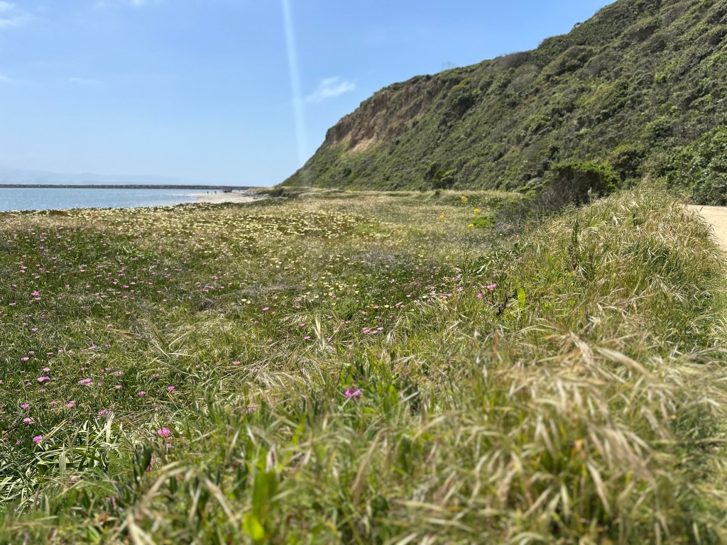 Day Trip to Half Moon Bay | 7 Great Things to Do - - Nicki Post